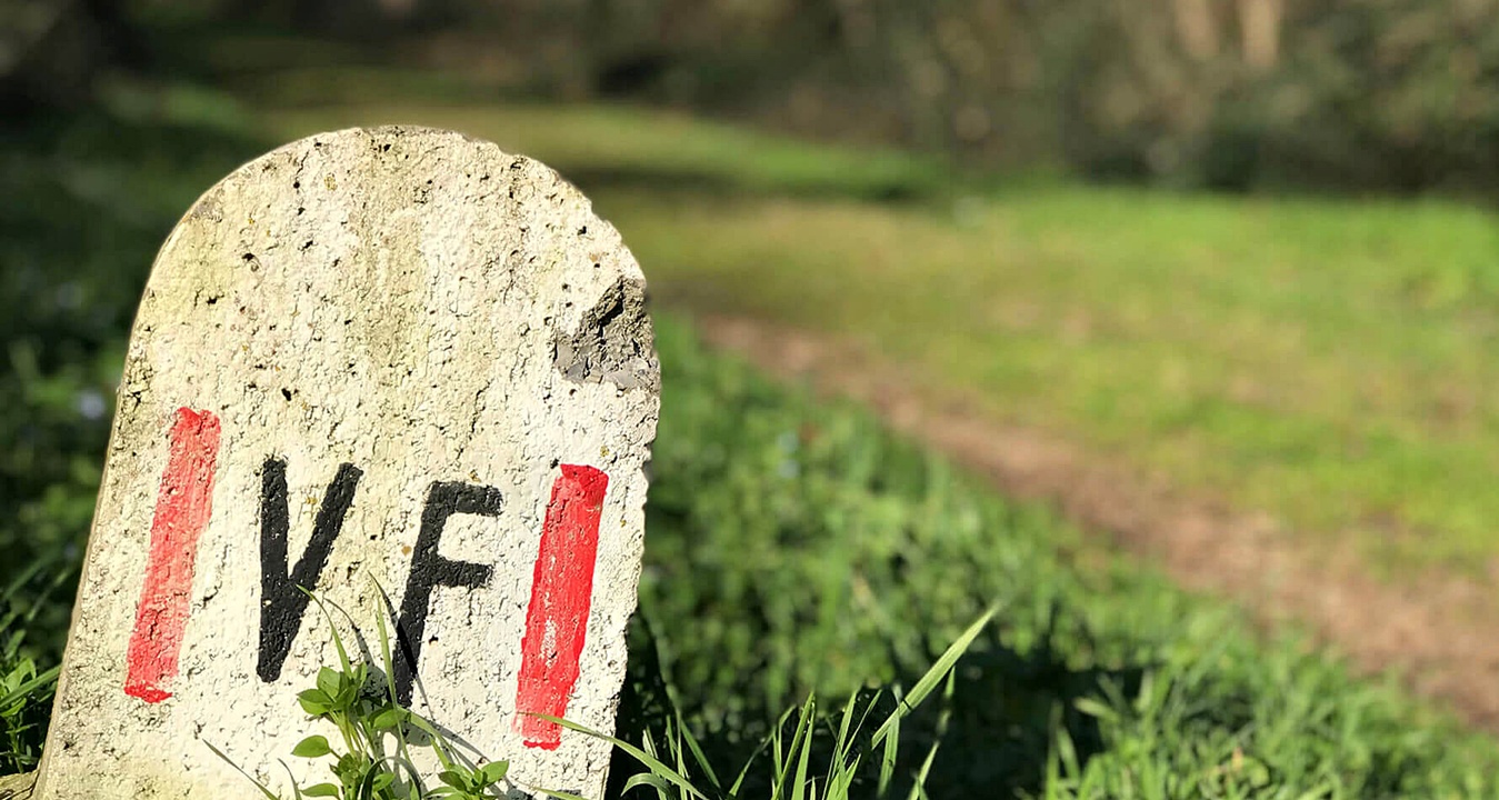 Francigena San Gimignano