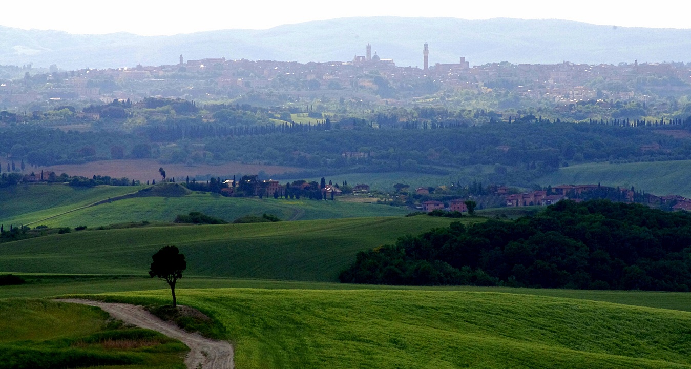 Francigena Monteriggioni Siena Miravagando