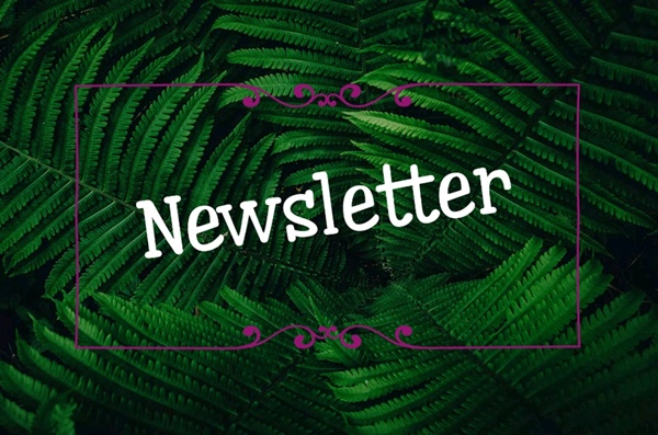 newsletter Miravagando Trekking