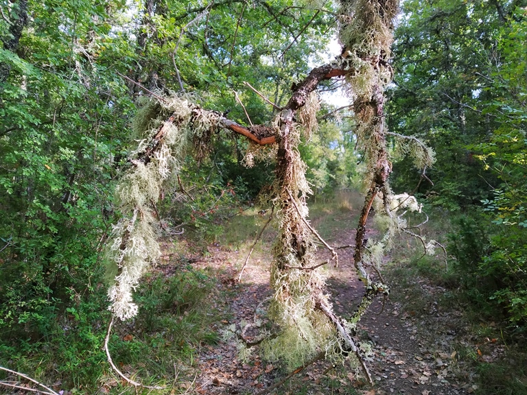 Ambiente incontaminato