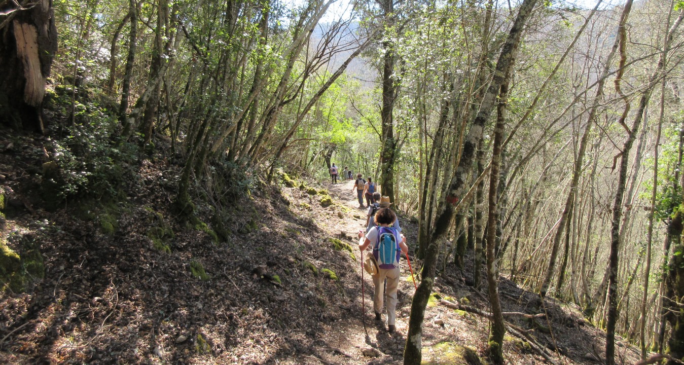 Livello di difficoltà trekking